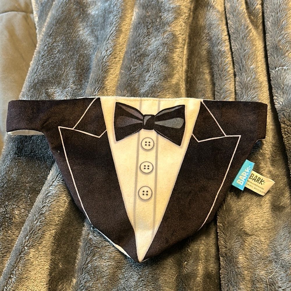 Bark box wearable squeaky dog toy award show M/F M